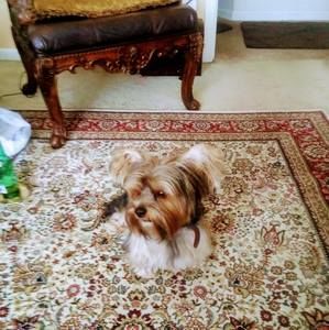 Meet your Posher, Sandra hanna